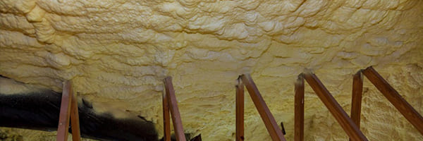 Do I Really Need to Insulate My Crawlspace?