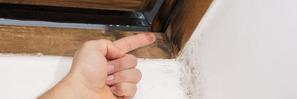 Can Improper Insulation In My Home Make Me Sick?