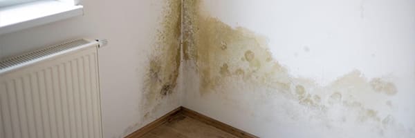 What Are The Most Common Issues Caused By Bad Insulation?