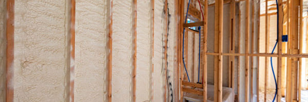 Does Spray Foam Insulation Attract Mold? No, Here’s Why